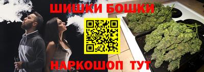 бошки Гагарин